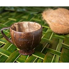 Coconut Shell Cups